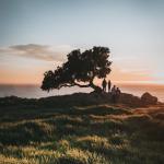 Decorative Photo Frame Set